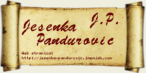 Jesenka Pandurović vizit kartica